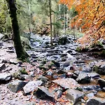 Chalet 4 Cloture 8 Min Cascades