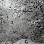 4 Cloture 8 Min Cascades Chalet