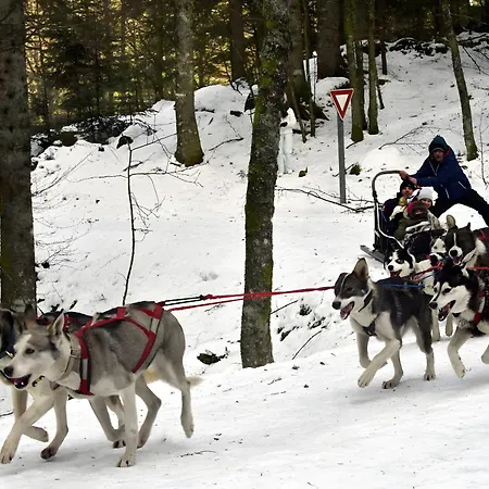 4 Cloture 8 Min Cascades Jarménil