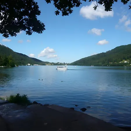 샬레 4 Cloture 8 Min Cascades *