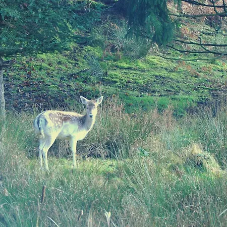 4 Cloture 8 Min Cascades * Jarménil