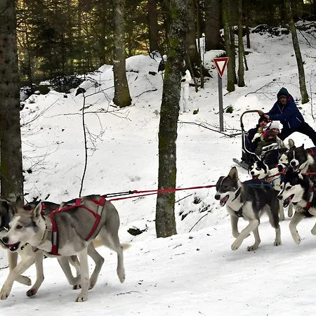 Alpesi faház 4 Cloture 8 Min Cascades