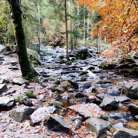 4 Cloture 8 Min Cascades Alpesi faház Jarménil