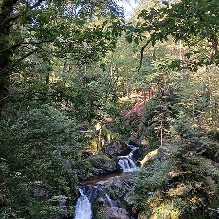 4 Cloture 8 Min Cascades Alpesi faház Jarménil