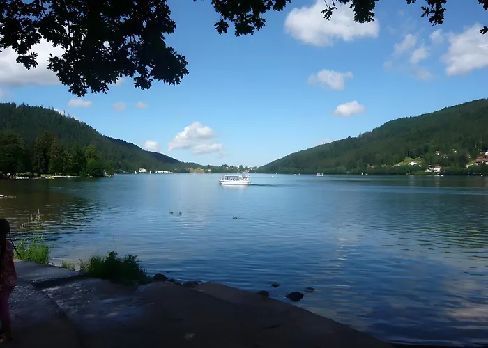 샬레 4 Cloture 8 Min Cascades *