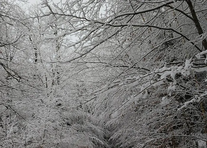 4 Cloture 8 Min Cascades 샬레