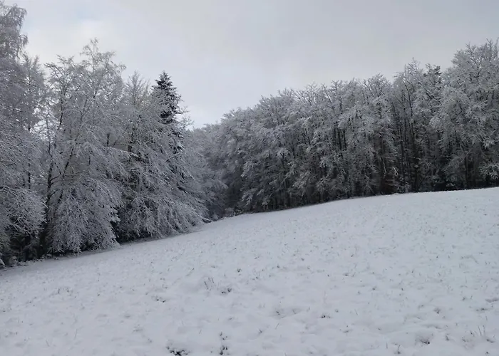 4 Cloture 8 Min Cascades Jarménil