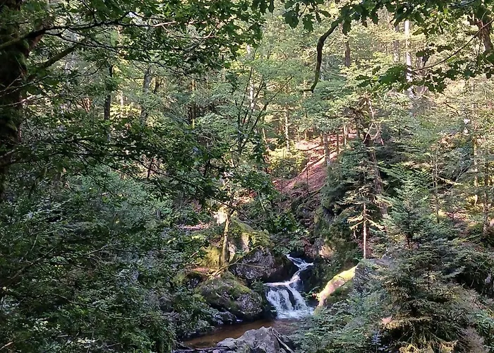 4 Cloture 8 Min Cascades *