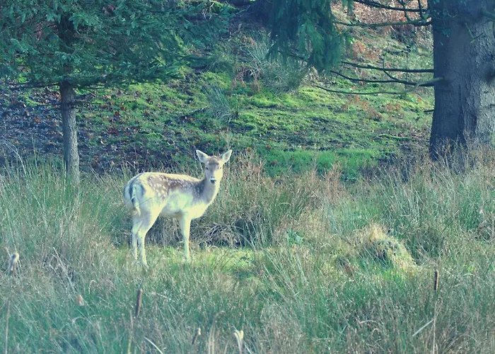 4 Cloture 8 Min Cascades * Jarménil